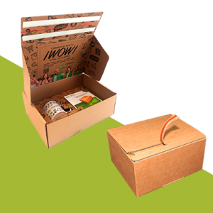 Ecommerce