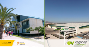 Vegabaja Packaging firma un acuerdo de colaboración con la Fundación UMH