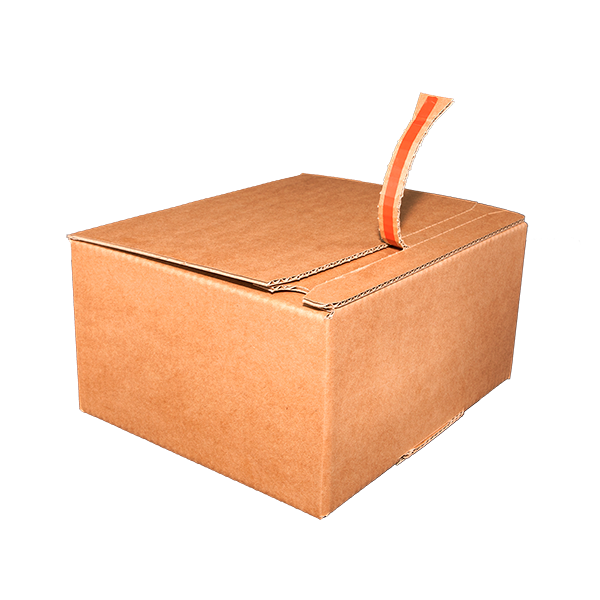 Caja fondo automático reforzado doble envío Vegabaja Packaging cerrada